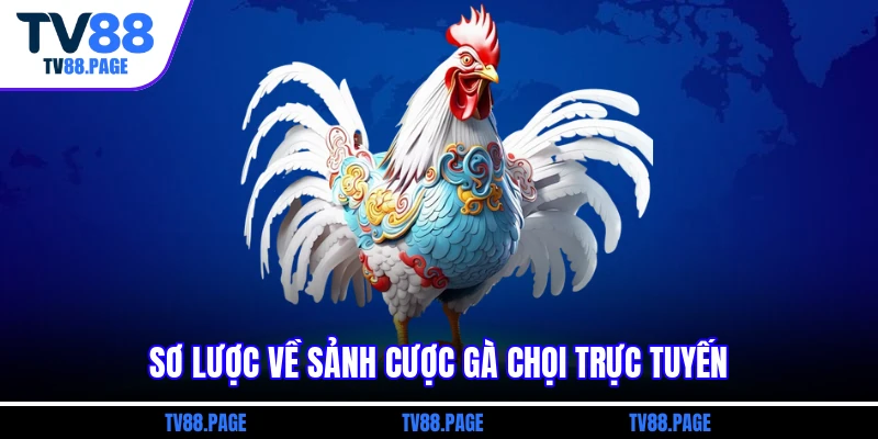 Sơ lược về sảnh cược gà chọi trực tuyến
